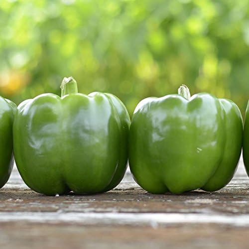 Park Seed Whopper Collection – High-Yield Tomato, Bell Pepper, Jalapeño & Cucumber Seed Set, Crisp, Flavorful &