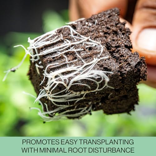 Seed Starter Trays, 144 Cells (24 Trays - 6 Cells Per Tray) + Plant Stakes