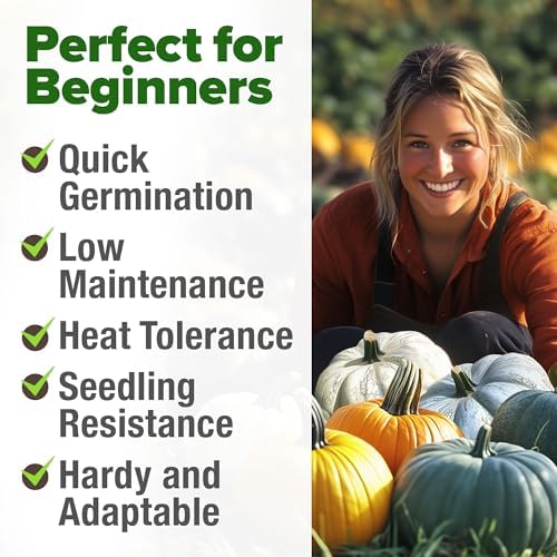 HOME GROWN Pumpkin Mix Seeds, 5 Variety, 40+ Seeds, Cucurbita Pepo