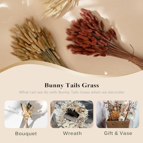 Bunny Tails Dried Flowers Boho Decor Pampass Grass 100pcs Floral Stems Decoration Plants 17 Inch (Natural)