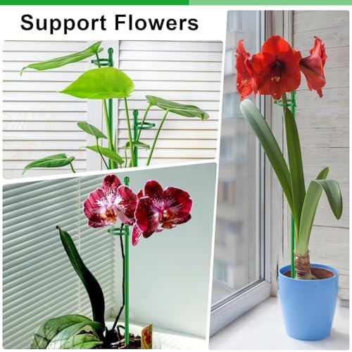 Plant Support Stakes 15 Inch for Indoor Plants,10 Pcs SupKing Orchid Sticks with Clips Garden Stake Extended for Outdoor Potted Tomato Rose Vegetables House Palnts Comes with 20 Plants Ties