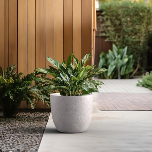 Kante Accent Round Bowl CON Gray Concrete Planter 14" Dia, Outdoor