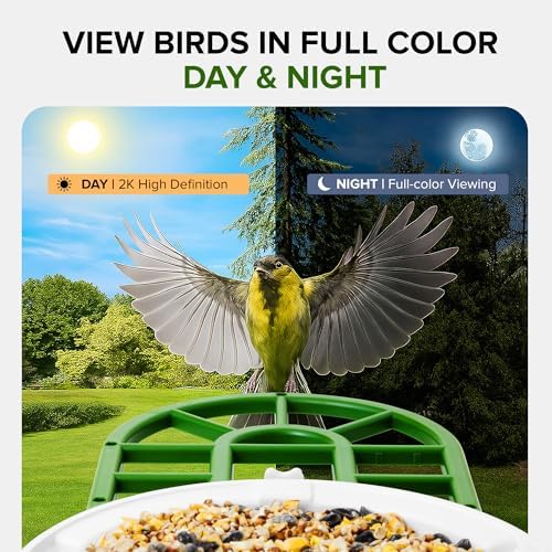 Birvio™ Smart Bird Feeder with Camera, Solar Powered, 1080P HD WiFi Live Stream, AI Bird Identification, Instant Motion Alerts