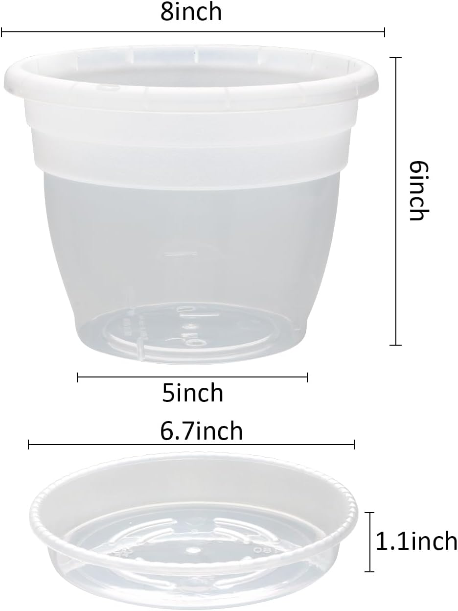 RooTrimmer 8 Inch Clear Nursery Pots with Drainage Holes and Clear Saucers,Transparent Flower Planters for Indoor