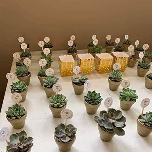 Winlyn 72 Pcs Small Mini Clay Pots - 2'' Terracotta Pot Ceramic Pottery Planter Terra Cotta Flower Pot Succulent