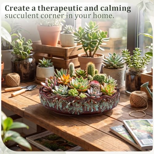 11 Inch Oval Ceramic Shallow Succulent Planter with Tray, Blue and Brown