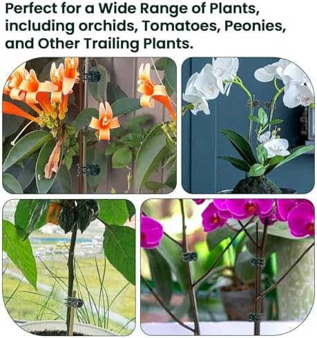 100 Pcs Orchid Clips for Plants Support, Plastic Clips for Plants to Secure Vines & Stems (Green, 2.1 x 1.3 Inches)