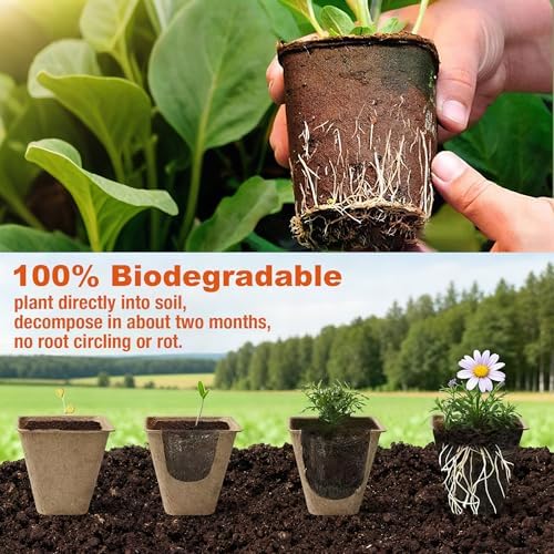 Peat Pots for Seedlings, Seed Starter Pots, 40 Pcs 3.15 Inch, Biodegradable Plant Starter Nursery Pots with Drainage Holes, Organic Round Planting Pots for Vegetables Herbs
