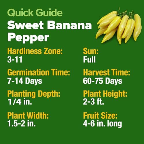 HOME GROWN Banana Pepper Seeds, 94+ Seeds, Capsicum annuum