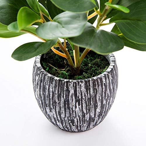 AlphaAcc Fake Faux Fiddle Leaf Fig Cement Planter Housewarming Desk Decor