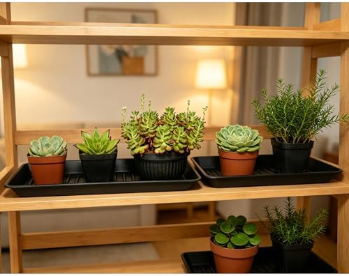 6 Pack Plastic Plant Trays Rectangular 14 Inch, Indoor Outdoor Plant Saucers with Drip Protection, Windowsill Planter Tray, 7 x 14.5 Inches, Black