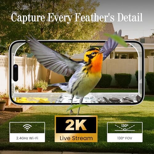 Window Bird Feeder with Strong Suction Cups and Smart Bird Camera