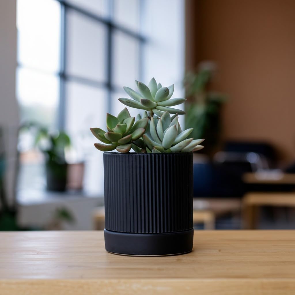 HERDUK Small Plant Pots, 4 Inch Pots for Indoor Plants, Modern Minimalist Ceramic Plant Pots with Drainage Hole &