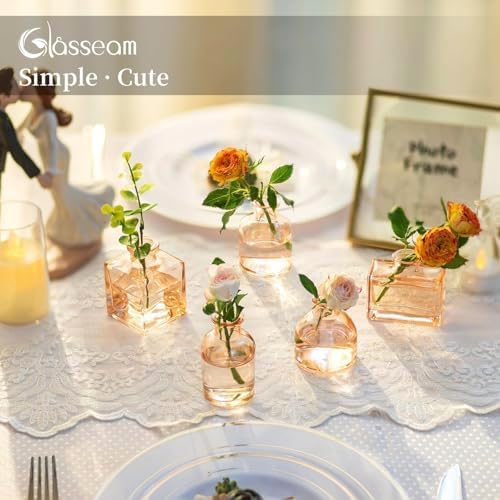 Glasseam Champagne Mini Bud Vases, 5 Pcs Small Glass Vases for Centerpieces