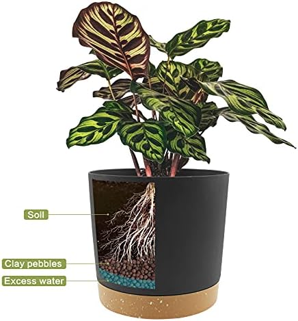 QCQHDU 12 inch Plant Pot, 2 Pack Planters for Indoor Plants with Drainage Holes & Saucer, Outdoor Flower Pots Home Garden Modern Decor