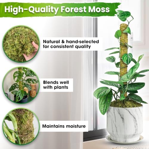 DUSPRO 1 Pack 22" Pre-Made Natural Stackable Moss Pole for Plants Monstera