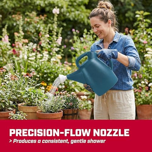 CHAPIN 48010 2-Gallon Watering Can, Drip-Free Spout for Clean Pour