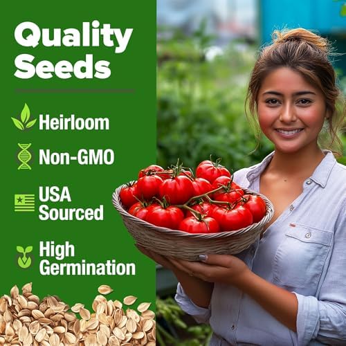 HOME GROWN Beefsteak Tomato Seeds, 300+ Seeds, Solanum lycopersicum