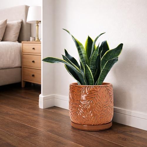 D'vine Dev Embossed Leaves Ceramic Planter, 8 in, Pumpkin, 27-A-Q-J