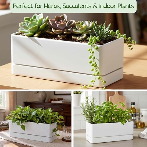 D'vine Dev 2-Pack Rectangular Planters, 12 x 4.5 in, White, 76-X-A-2