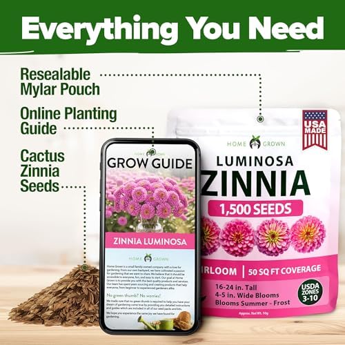 HOME GROWN Zinnia Seeds, Luminosa Pink, 1,500 Seeds, Zinnia elegans