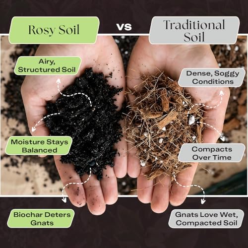 Rosy Soil Plant Food, Organic Fertilizer for Indoor Plants, 4 Quarts
