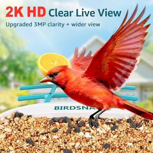 birdsnap® TUC Bird Feeder with Camera Solar Powered 2K Video with 32GB Card
