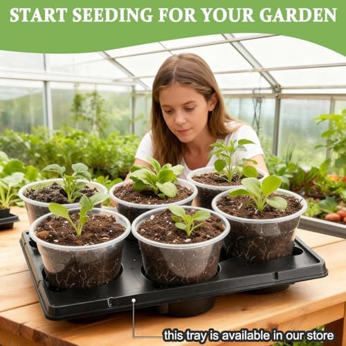 RooTrimmer 60 Pack 6 Inch Clear Nursery Pots for Plants, Flexible Plastic Plant Pots with Drainage Holes, Transparent Plant Starter Pots for Seedlings, Vegetable, Succulents, Flowers