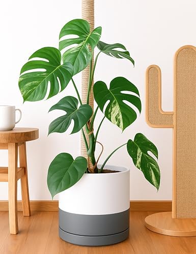 D'vine Dev 14 Inch Ceramic Planter Pot, White/Grey, 94-O-G-6