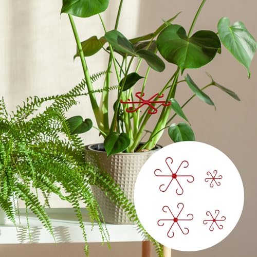 PEUTIER 4pcs Plant Stem Supports, Plastic Houseplant Climbing Holders