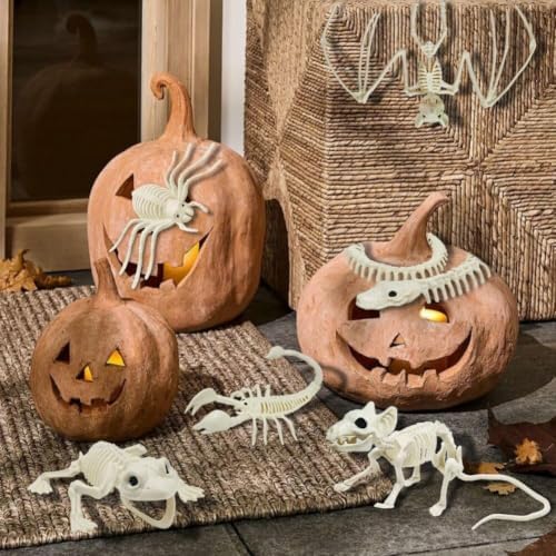 CAMIRUS 6Pack Animal Halloween Skeletons, Realistic Animal Skeleton