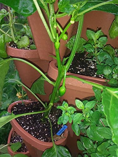 Mr. Stacky 10 Large 18x18x6 inch Vertical Gardening Stackable Planters - Terracotta Color