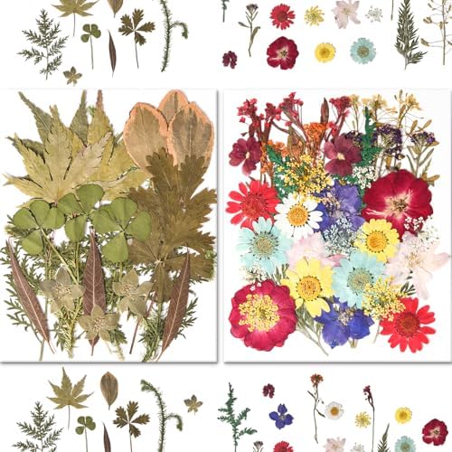 184 PCS Real Pressed Dried Flowers and Leaves for Resin