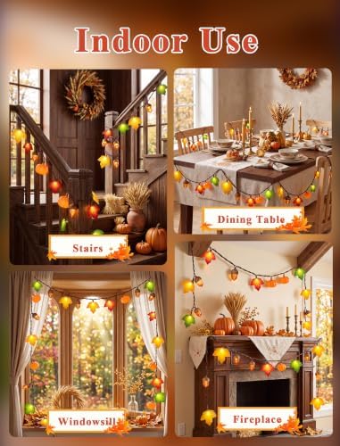 Fall Decor String Lights, 8.5FT 10 LED Thanksgiving Lights Outdoor Plug in