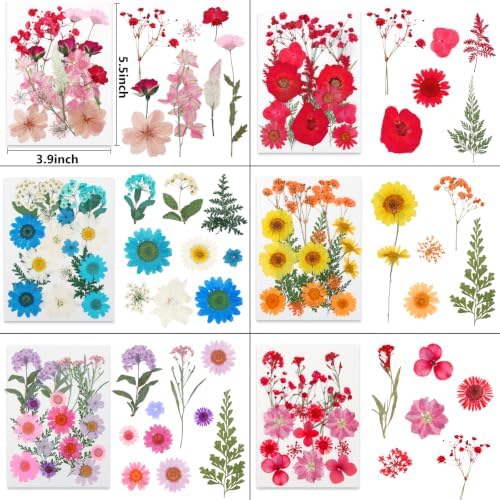 428 Pcs Dried Pressed Flowers for Resin,Real Nature Dried Flowers for Craft