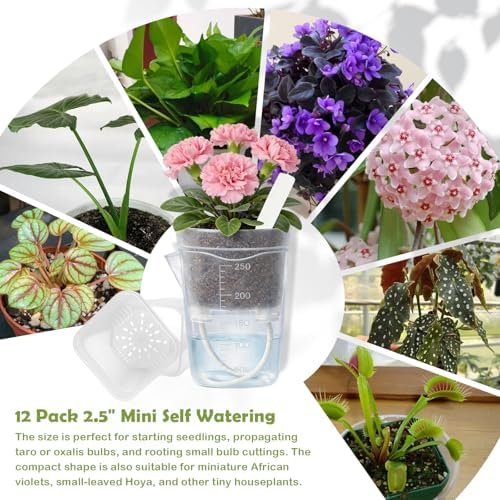 16 Pack 2.5" Clear Self Watering Pots for Indoor Plants, Mini Clear Plastic Planters, with 16 Plant Label and Water Level and Drainage Holes for Seedlings, Cuttings, Succulents (Large)