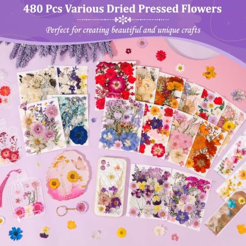 Evatage 480 Pcs Real Dried Pressed Flowers for Resin Crafts