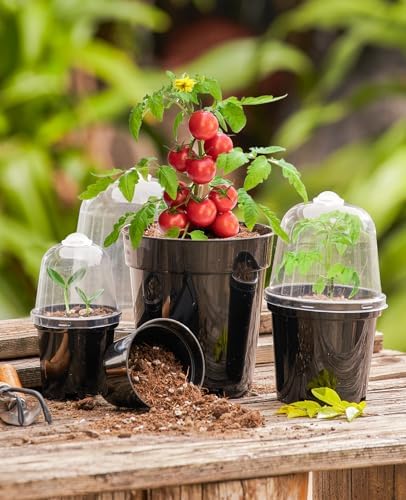 homenote 5 Inch Nursery Pots with Humidity Domes for Seed Starting (15 Pcs)