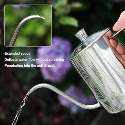 Watering Can for Indoor Plants, Silver Stainless Steel Watering Can 2 Pack
