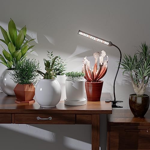 GooingTop Grow Light for Indoor Plants Growing, 6000K Full Spectrum (Pack of 2)