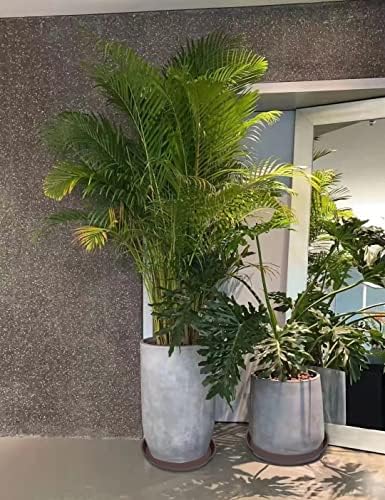 2 Pack of 18 19 inch Plant Saucer Drip Tray (16.6 inch Base), Heavy Duty Deep Plant Saucers for Pots, Plastic Flower Planter Water Trays for Indoors Outdoor (19", Dark Brown)
