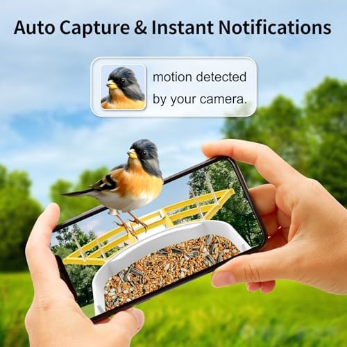 Bird Feeder with Camera,WiFi Smart Bird House with Cam Solar Powered