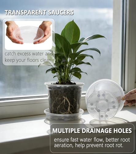 20-Pack Clear Nursery Pots with Saucers (4/5/6/7 Inch)– Transparent Plastic Plant Pots with Drainage Holes and 20 Labels, Assorted Sizes for Seed Starting, Succulents, Indoor and Outdoor Use