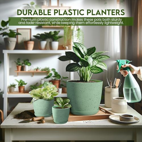Plant Pots Indoor with Drainage 10 Pack Multi-Size Planters Set Spotty Mint