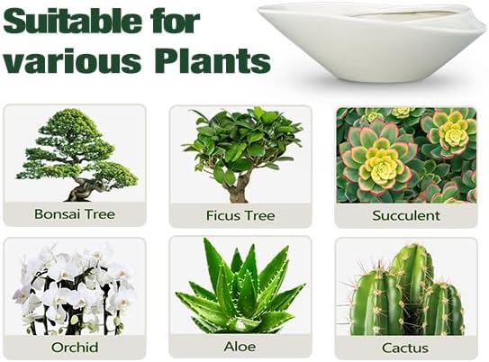 Bonsai Planter Pot - 12 Inch Ceramic Plant Pot for Indoor Plants Outdoor Decorative Flower Pot Succulent Planter with