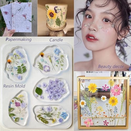 Real Dried Pressed Flowers Leaf Plant Herbarium for Crafts Resin Jewelry Making, Floral Cake Decorations-Light Pink