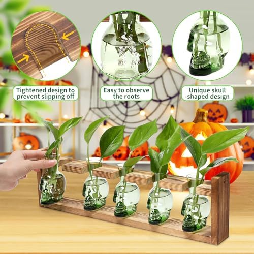 Plant Terrarium Propagation Stations Halloween Skull Planter Vase Skulls