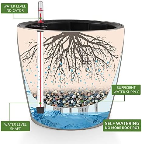 Dexceder 9x8 Self Watering Planter (Smoky Gray Matte)