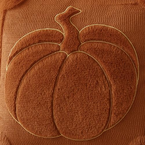 Allorry Fall Pillow Covers 18x18 Rust Pumpkin Fall Home Decor PT009C18