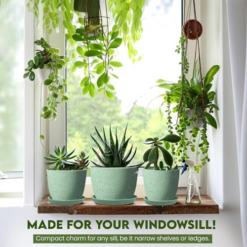 Plant Pots Indoor with Drainage 10 Pack Multi-Size Planters Set Spotty Mint